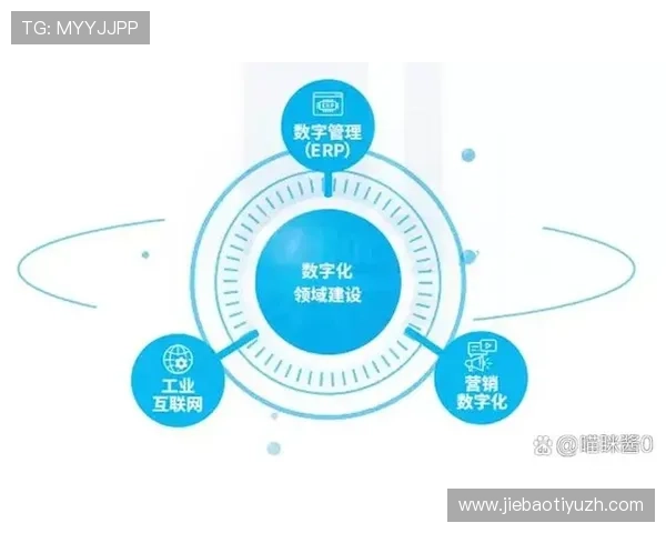 环球娱乐在数字化转型中的关键角色，推动行业持续创新与升级